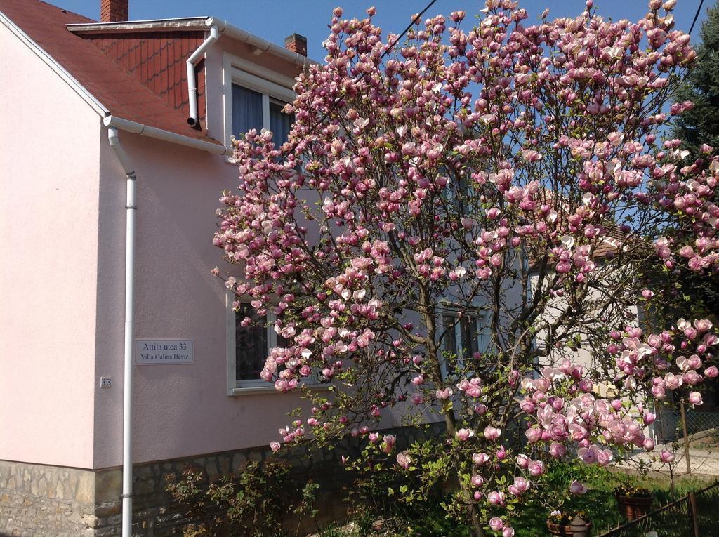 Villa Galina Hévíz Kültér fotó